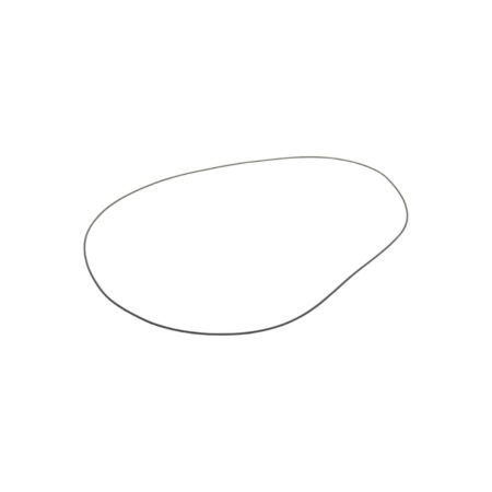 3010029X1 oring 1