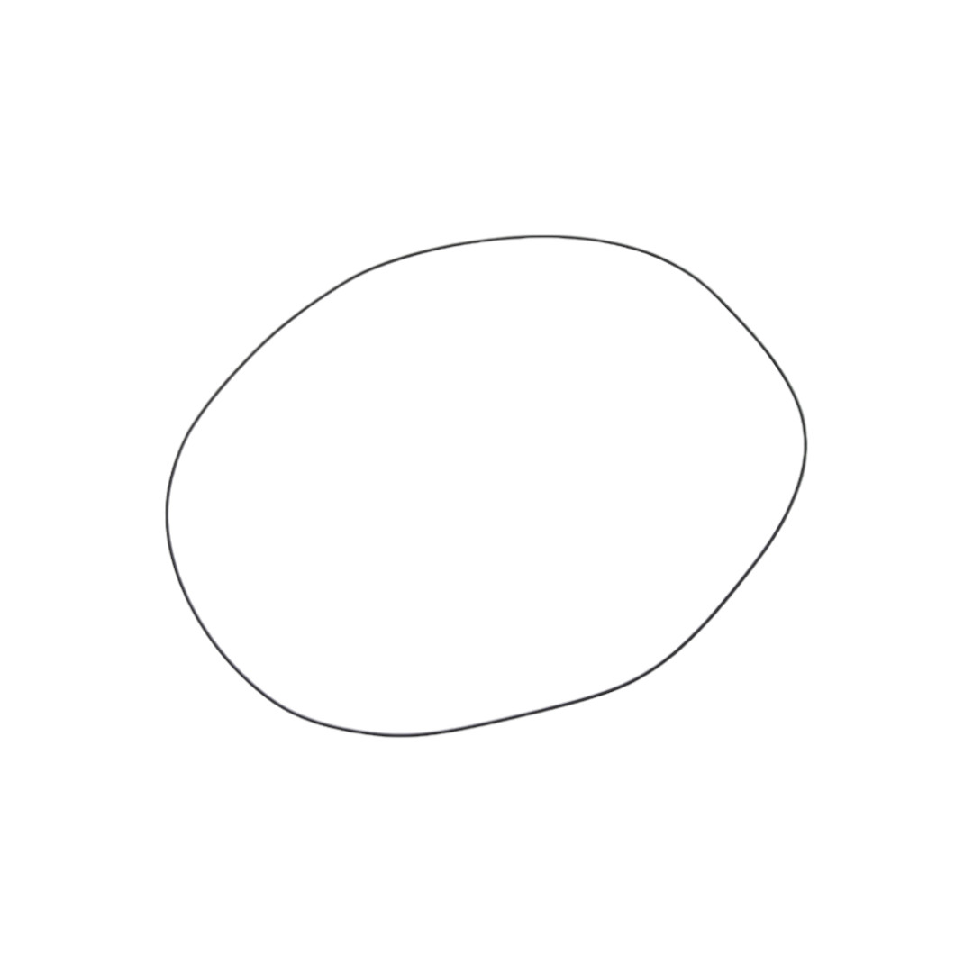 3010029X1 oring 2
