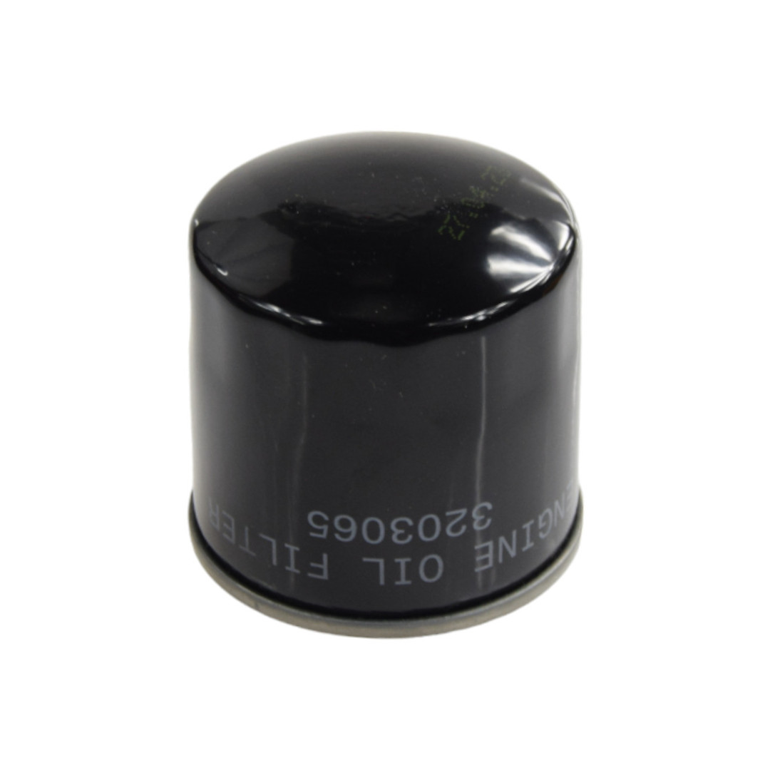 3203065 filtr 1